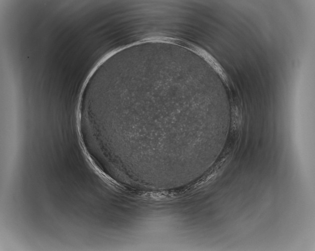 X0000113570955200909181244