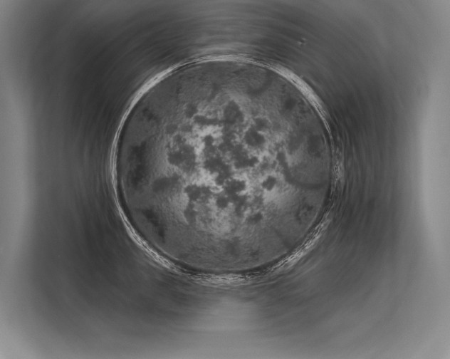 X0000113570957200909181244