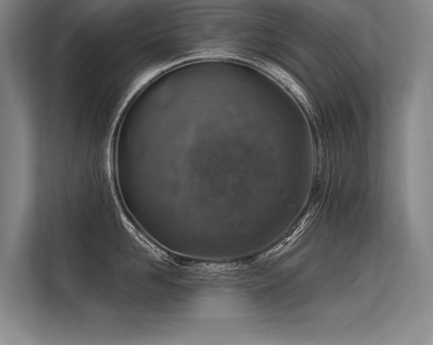 X0000113570958200909181244