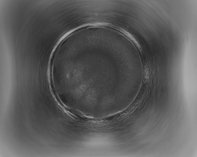 X0000113570959200909181244