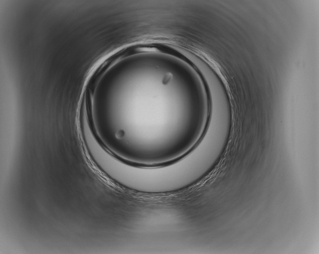 X0000113570960200909181244