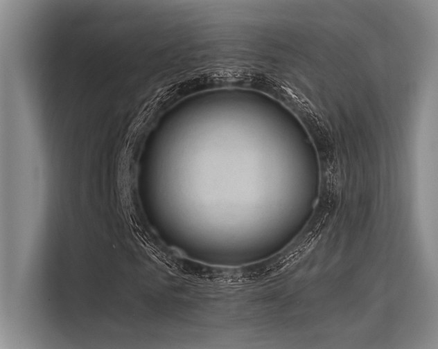 X0000113570961200909181244