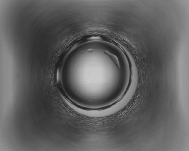X0000113570965200909181244