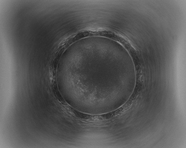 X0000113570966200909181244