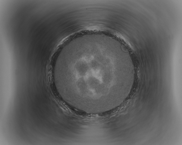 X0000113570968200909181244