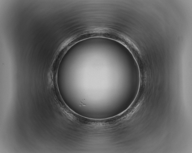 X0000113570970200909181244