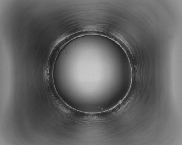 X0000113570971200909181244