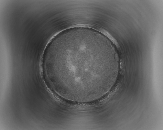 X0000113570972200909181244