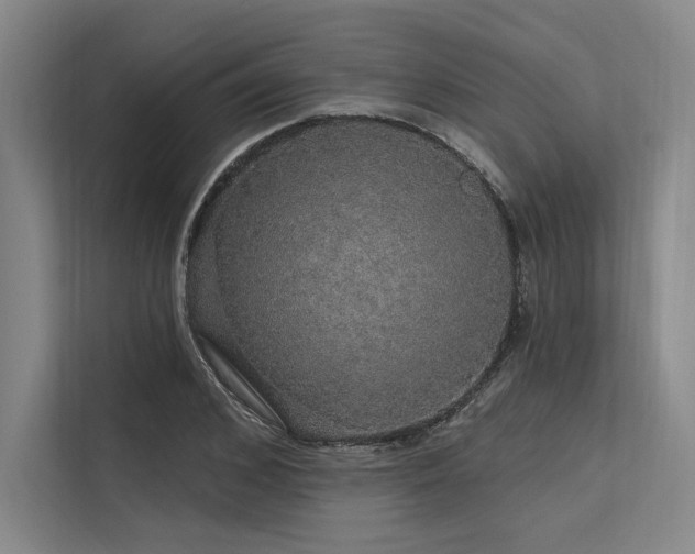 X0000113570976200909181244