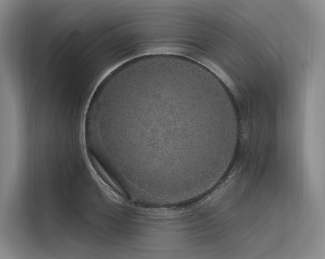 X0000113570980200909181244