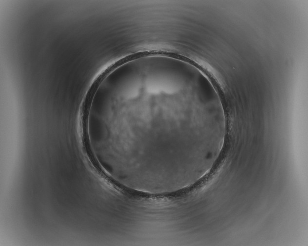 X0000113570983200909181244