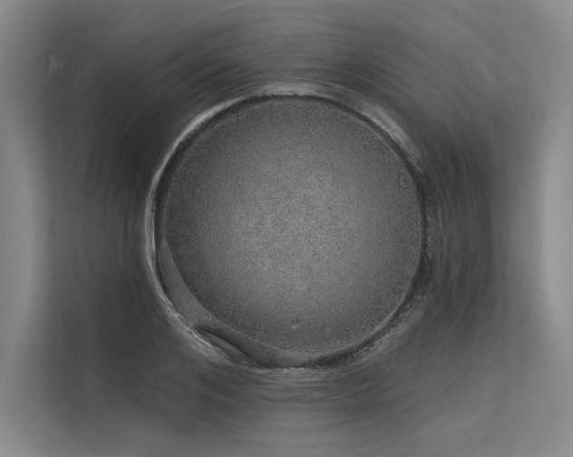 X0000113570984200909181244