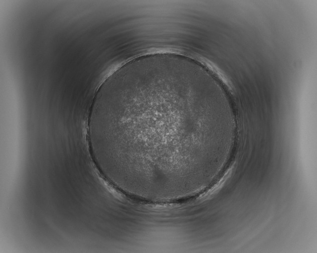 X0000113570985200909181244