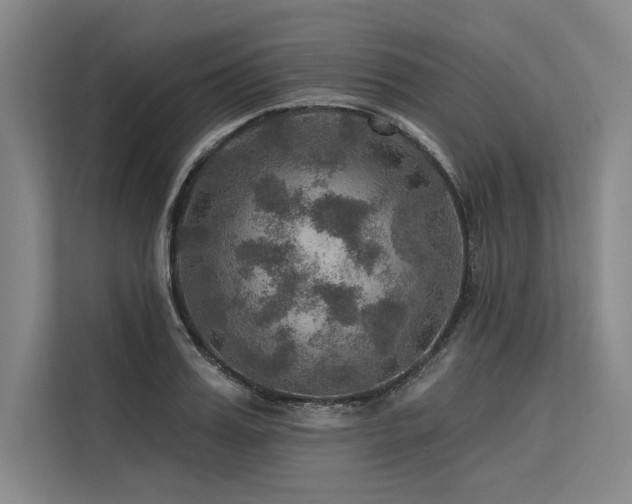 X0000113570987200909181243