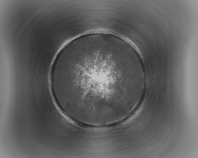 X0000113570989200909181243
