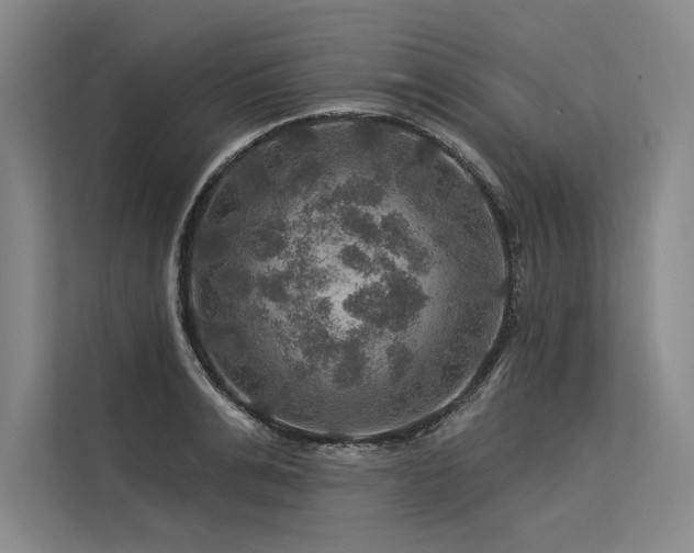 X0000113570991200909181243
