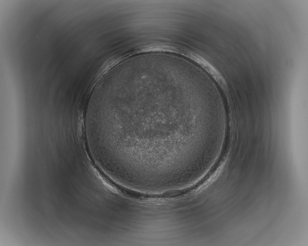X0000113570993200909181243