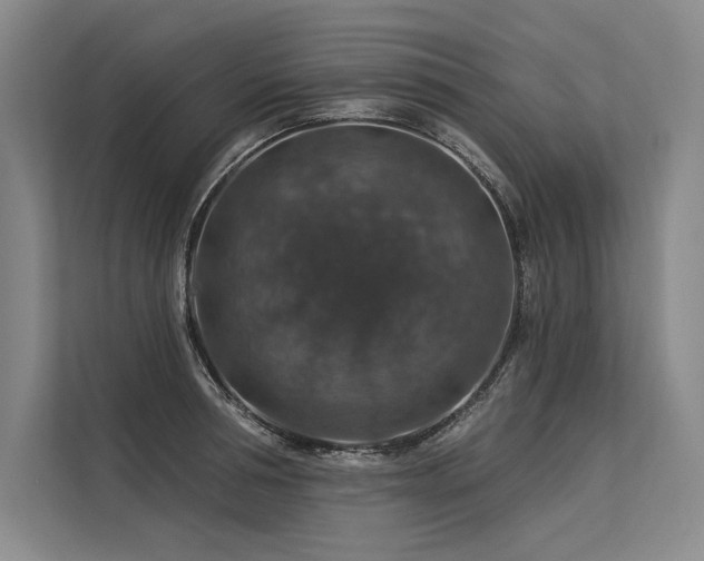 X0000113570994200909181243