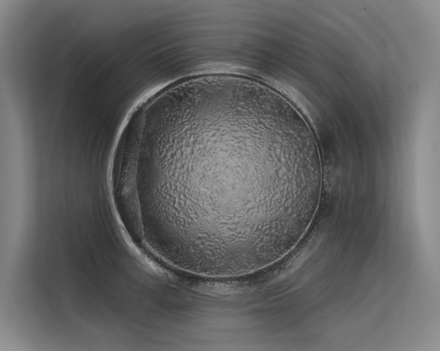 X0000113570995200909181243