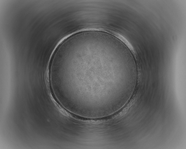 X0000113570996200909181243