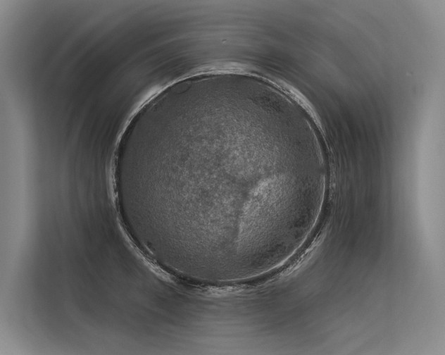 X0000113570997200909181243