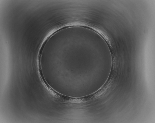 X0000113570998200909181243