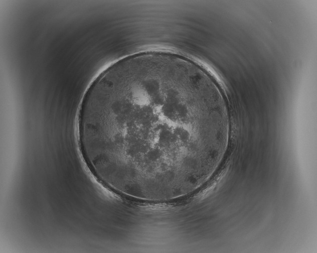 X0000113570999200909181243
