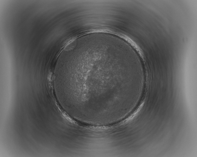 X0000113571001200909181243