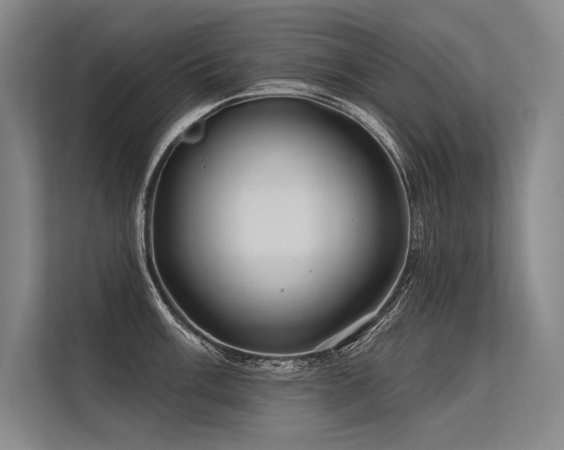 X0000113571003200909181243