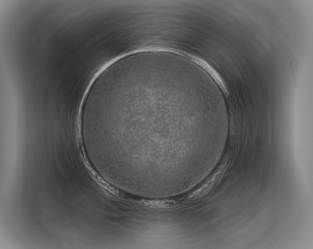 X0000113571004200909181243