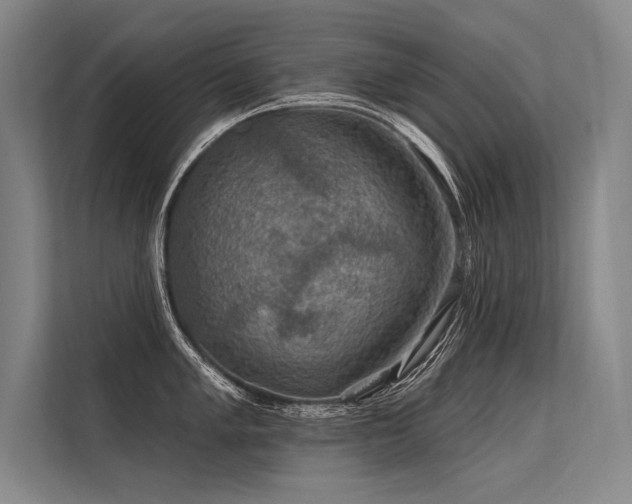 X0000113571005200909181243