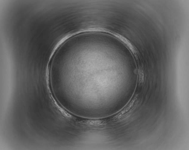 X0000113571006200909181243