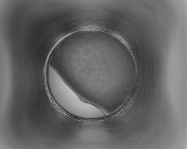 X0000113571008200909181243