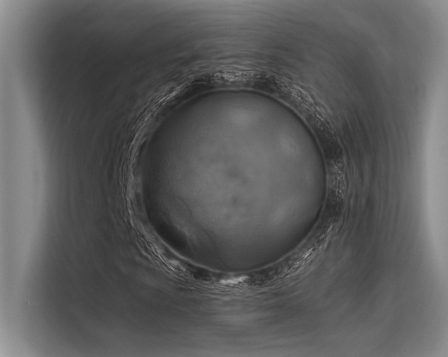 X0000113571009200909181243