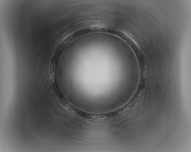 X0000113571015200909181243