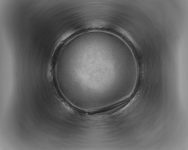 X0000113571018200909181243