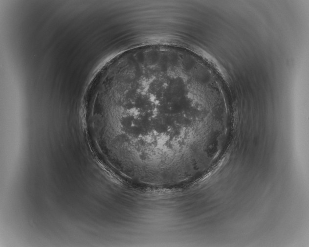 X0000113571019200909181243