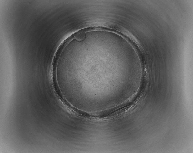 X0000113571020200909181243
