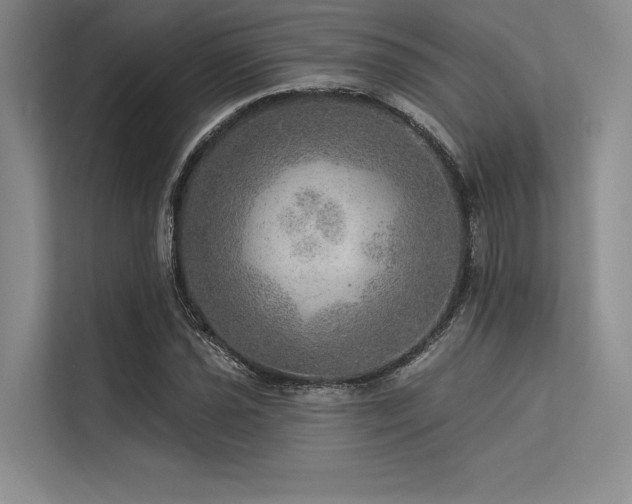 X0000113571021200909181243