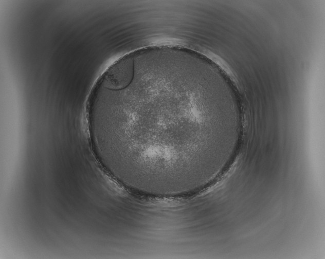 X0000113571022200909181243