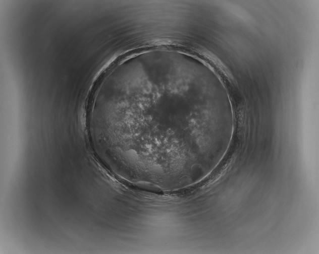 X0000113571023200909181243