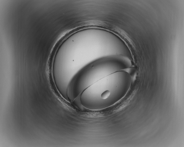 X0000113571024200909181243