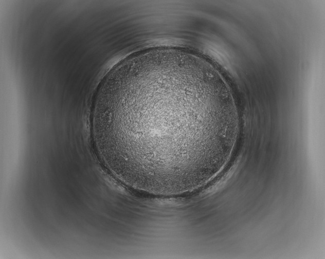 X0000113571025200909181243