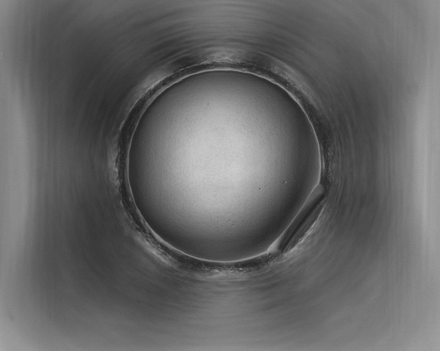 X0000113571026200909181243