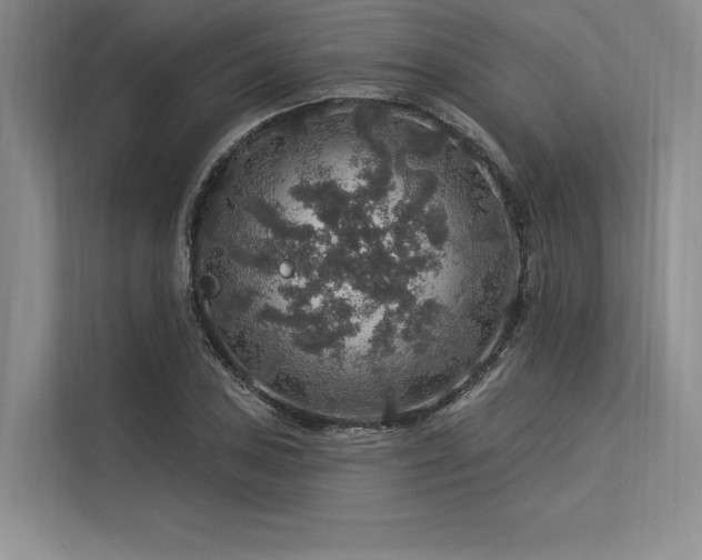 X0000113571027200909181243
