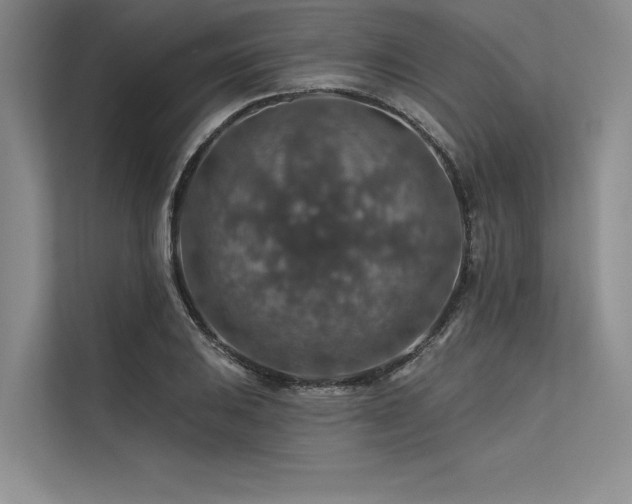 X0000113571031200909181243