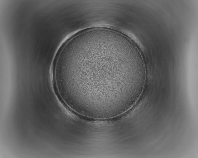 X0000113571032200909181243