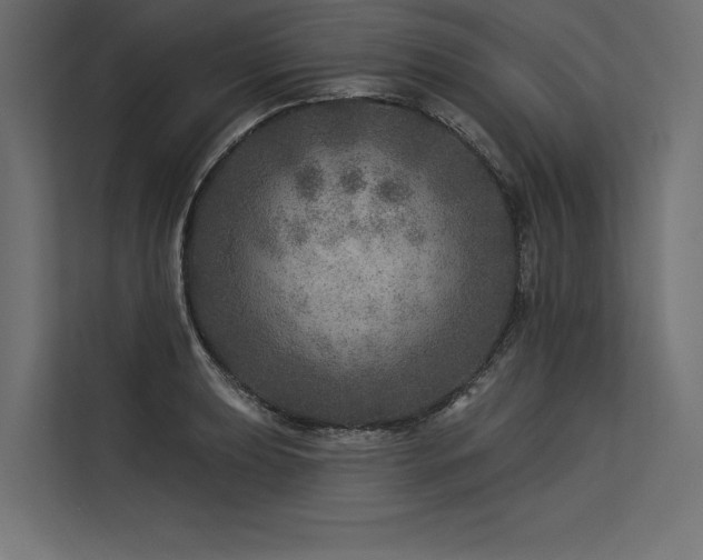 X0000113571039200909181243