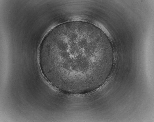 X0000113571043200909181243
