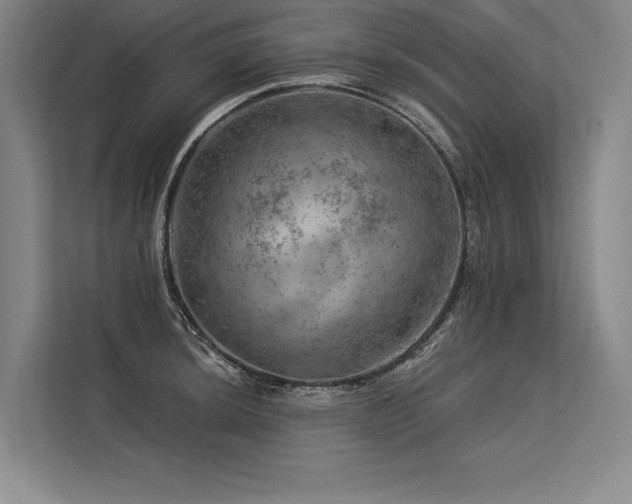 X0000113571044200909181243